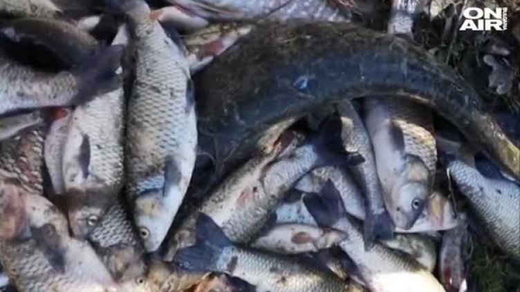 Снимак: Bulgaria ON AIR