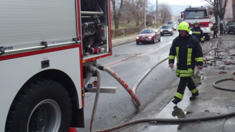 Снимка: БГНЕС