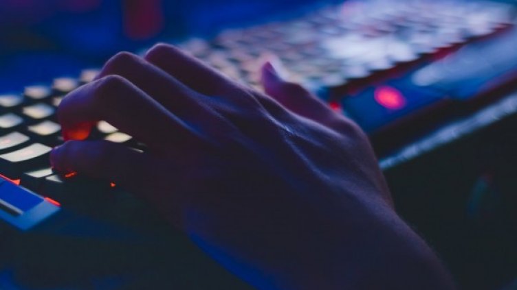 Снимка: Pexels