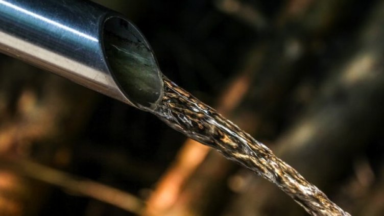 Снимка: Pixabay