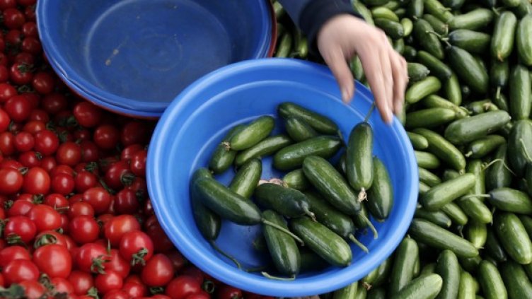 Снимка: архив, БГНЕС