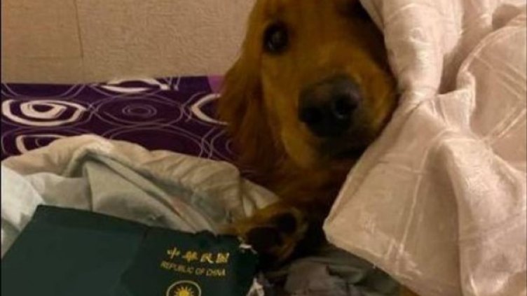 Снимка: Facebook