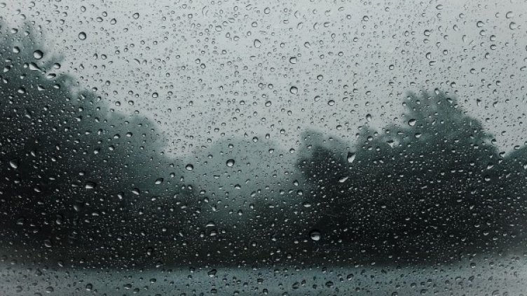 Снимка: Pixabay