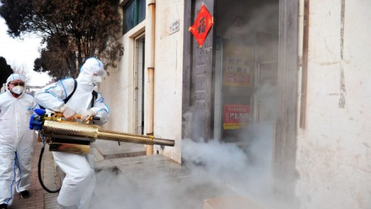 Снимка: архив, БГНЕС