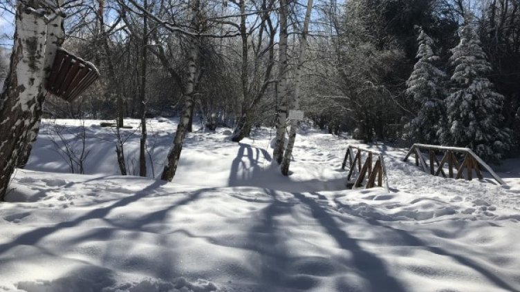 Снимка: БГНЕС