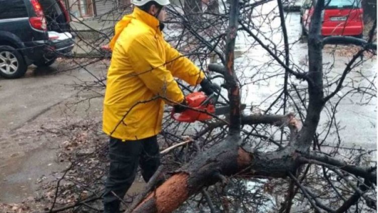 Снимка: Столична община