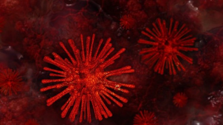 Снимка: pixabay