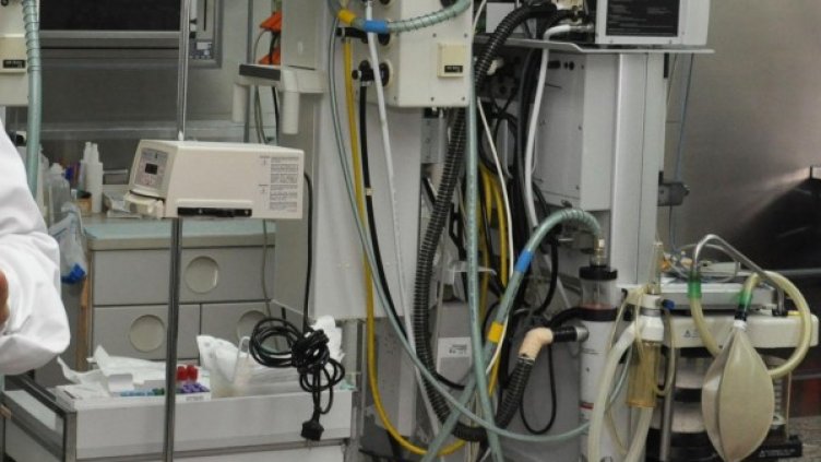 Снимка: архив, БулФото