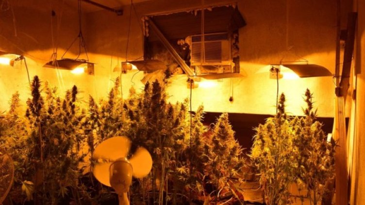 Снимка: МВР