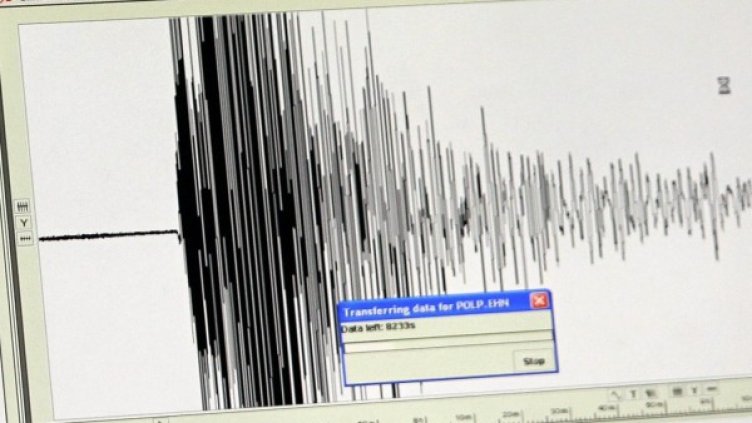 Снимка: архив, БГНЕС