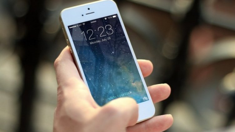 Снимка: Pixabay