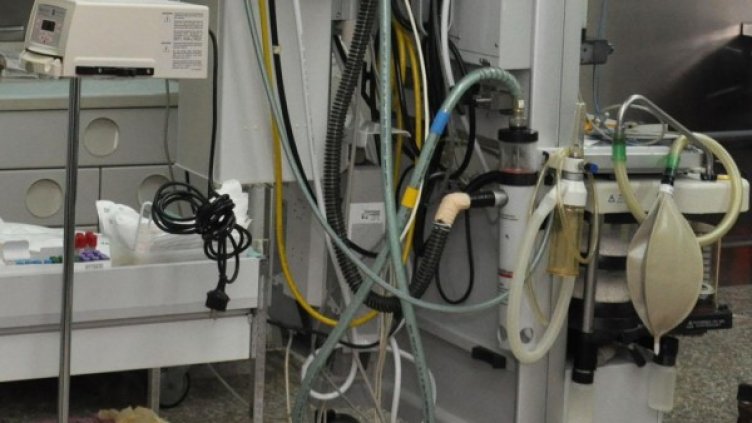 Снимка: архив, БулФото