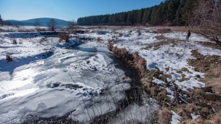 Снимка: Димитър Кьосемарлиев, Dnes.bg