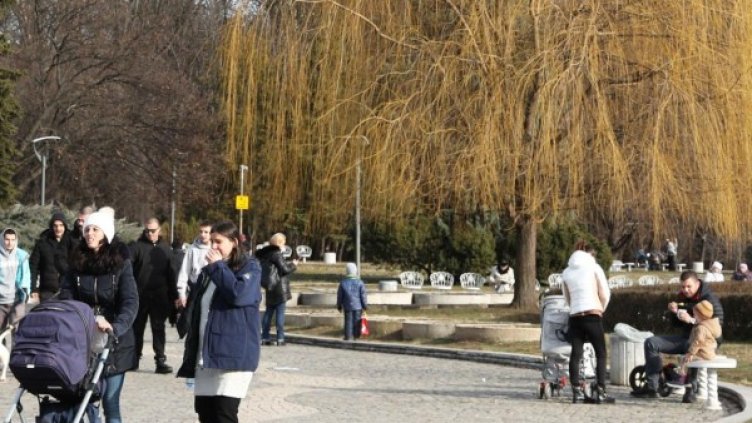 Снимка: архив, БулФото