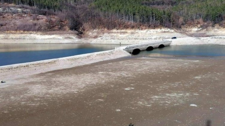 Снимка: АБВ