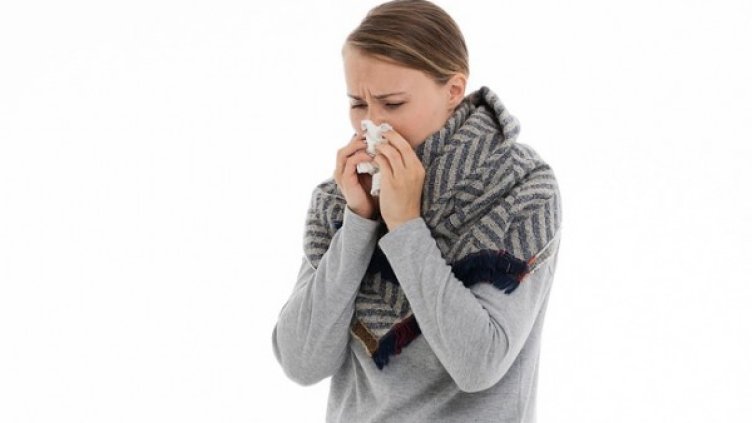 Снимка: Pixabay