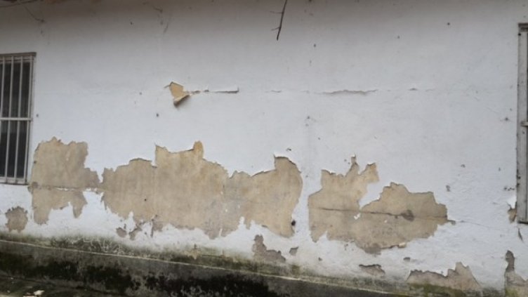 Снимка: архив, БГНЕС