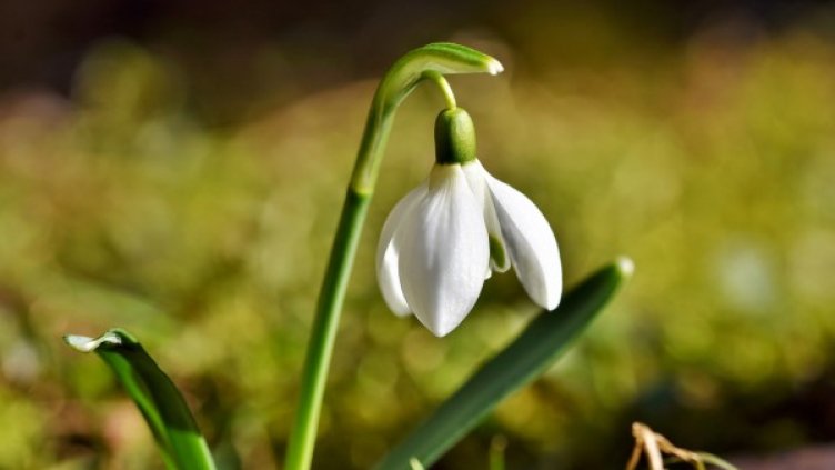 Понеделник и вторник &ndash; топли, сряда идва със сняг и ново застудяване 