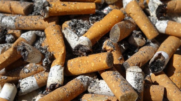 Снимка: Pixabay