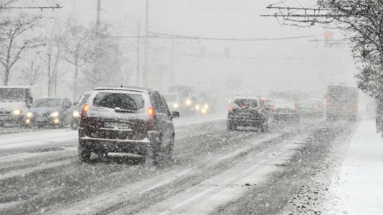 Архив: Булфото