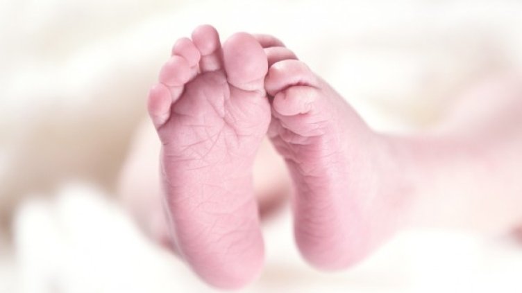 Снимка: Pixabay