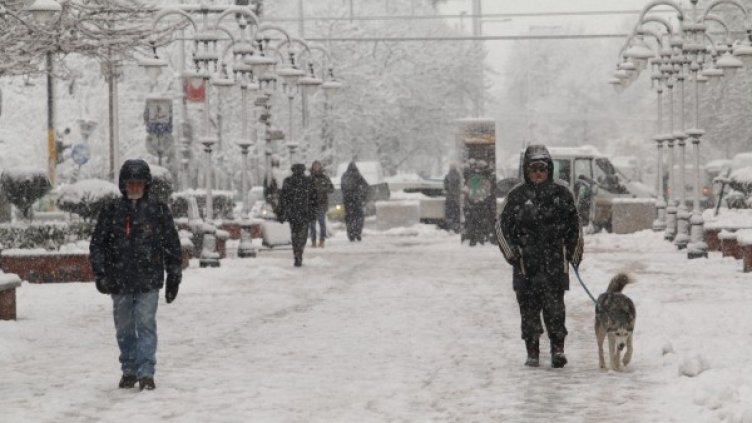 Снимка: БГНЕС