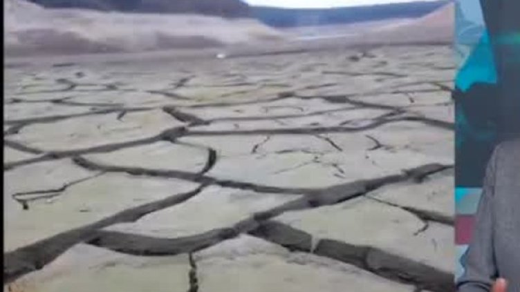 Снимка: Bulgaria ON AIR