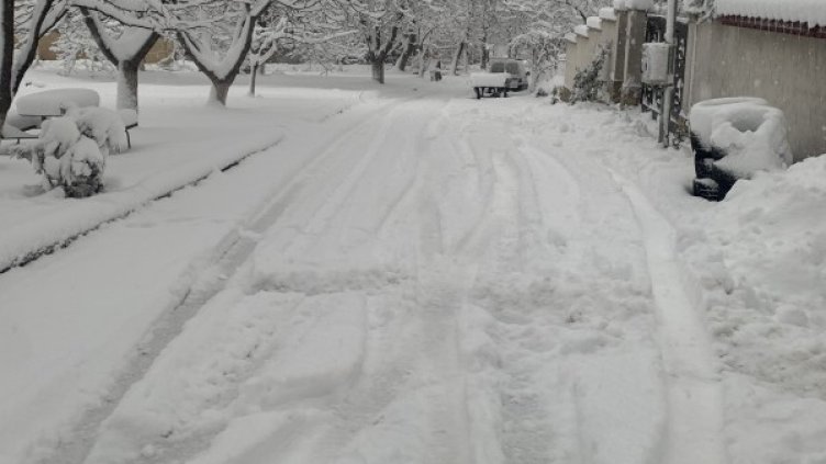 Снимка: Helpbook