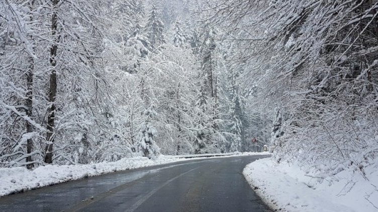 Снимка: Pixabay