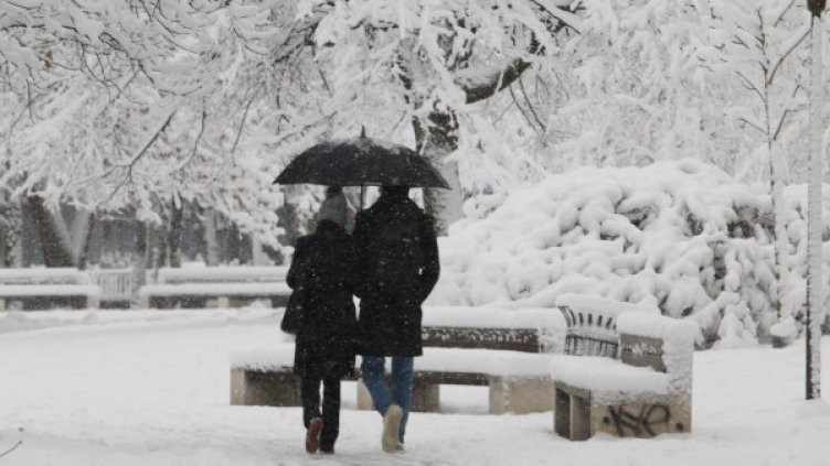 Снимка: БГНЕС