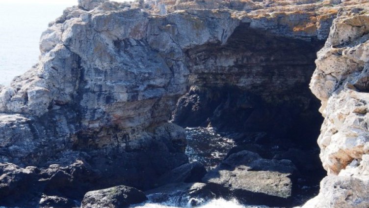 Снимка: Булфото