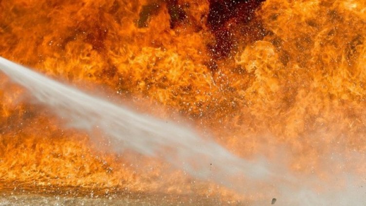 Снимка: Pixabay