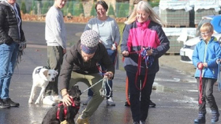 Снимка: Столична община