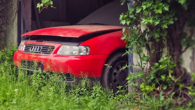 Снимка: Pixabay