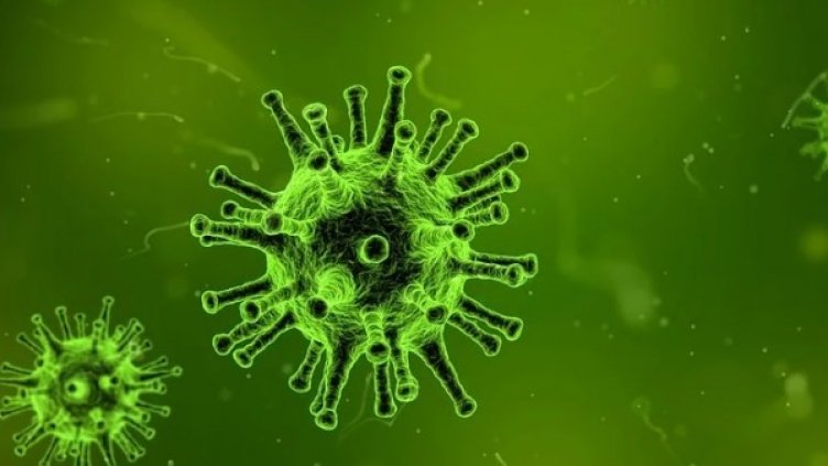 Снимка: pixabay