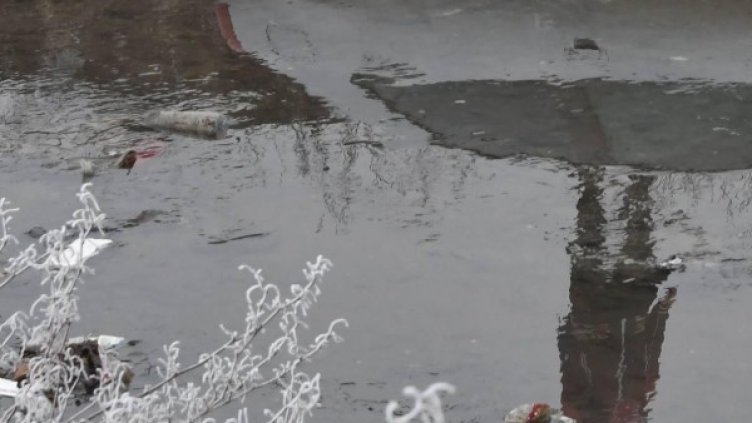 Снимка: архив, БулФото