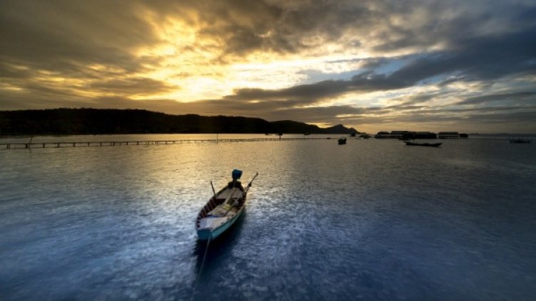 Снимка: Pixabay