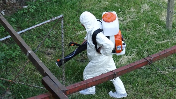 Снимка: БГНЕС