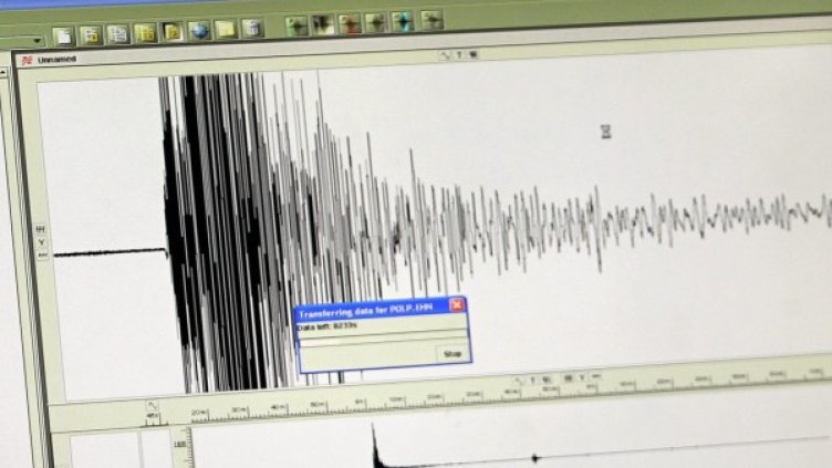 Снимка: архив, БГНЕС