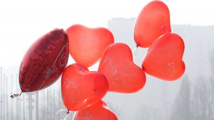 Снимка: архив, БГНЕС