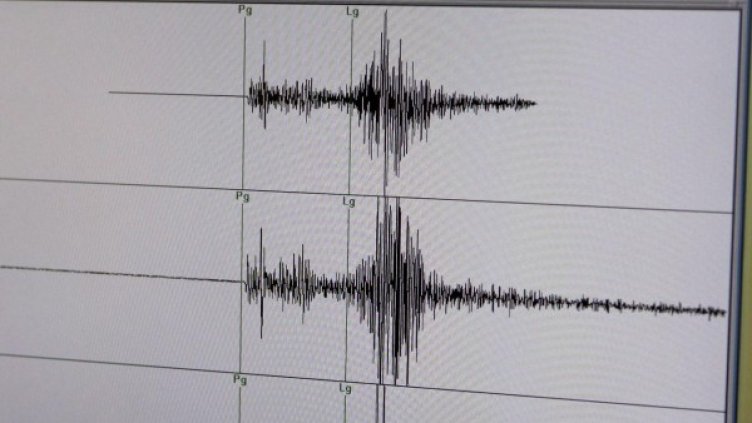 Снимка: архив, БГНЕС