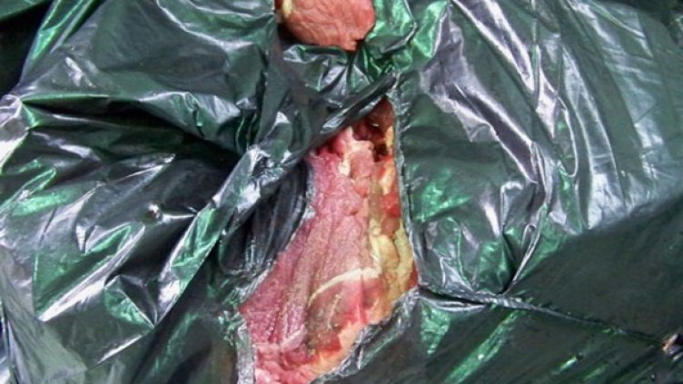 Снимка: БГНЕС, архив