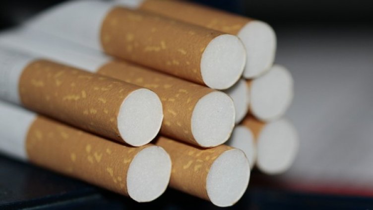 Снимка: Pixabay