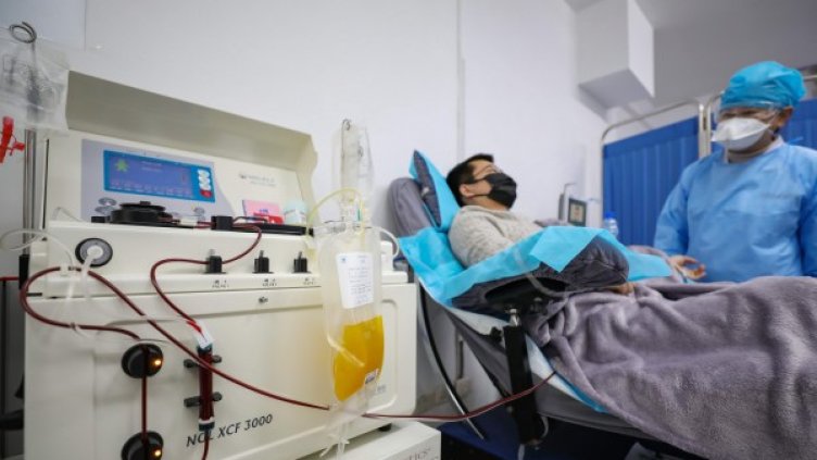 Снимки: БГНЕС