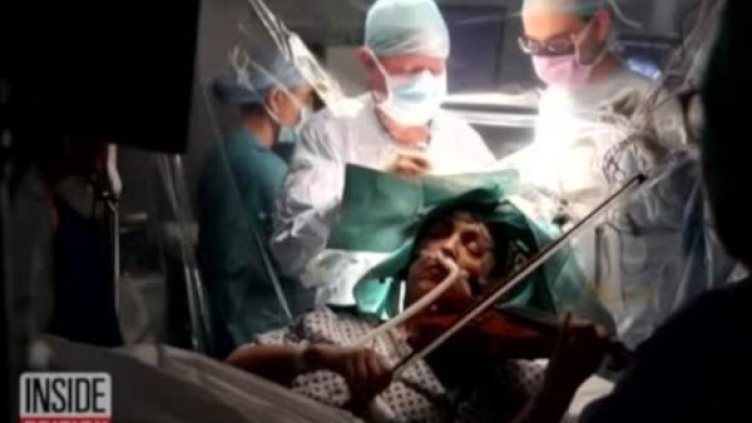 Снимка: Bulgaria ON AIR