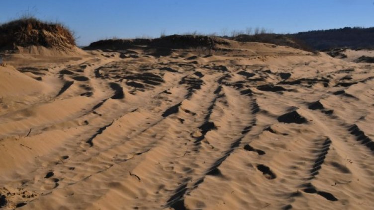 Снимка: Булфото