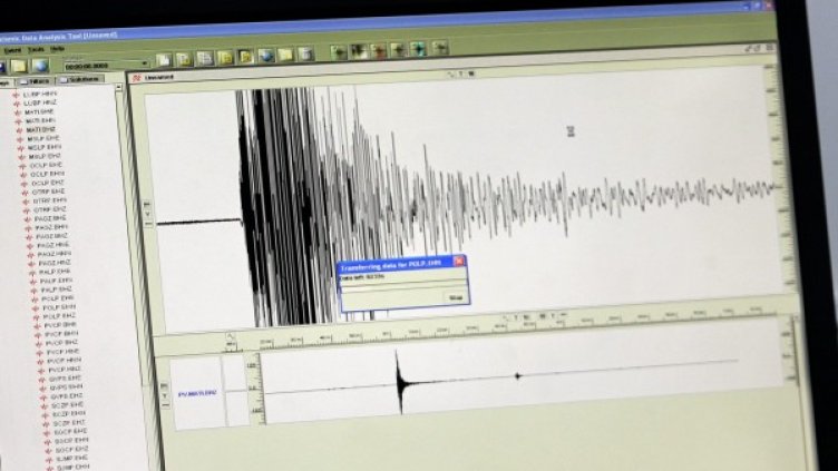 Снимка: архив, БГНЕС