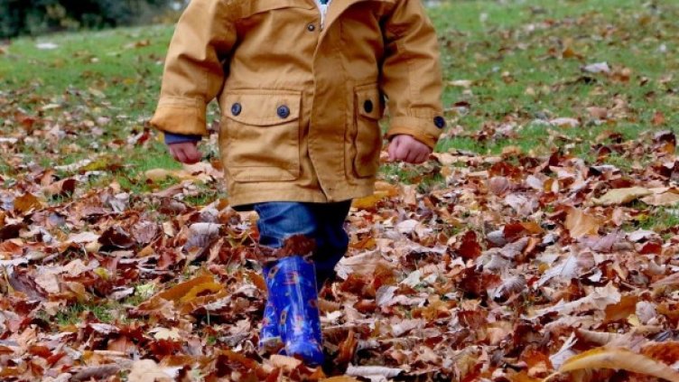 Снимка: Pixabay