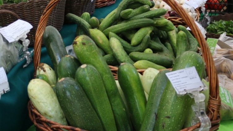 Снимка: архив, БГНЕС