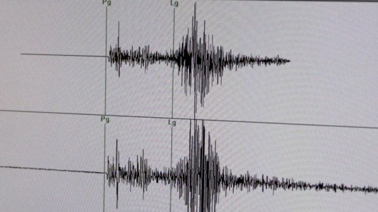 Снимка: БГНЕС, архив